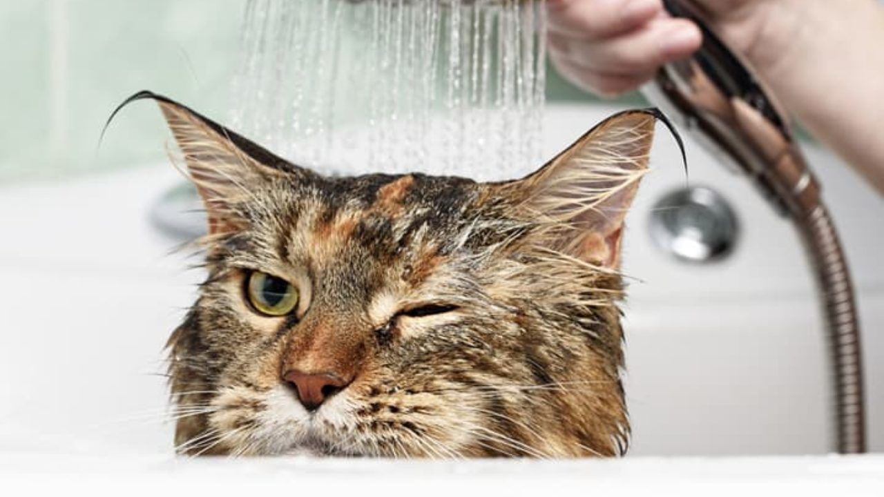 Banho relaxante e terapêutico